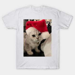 SILLY CHRISTMAS CAT T-Shirt